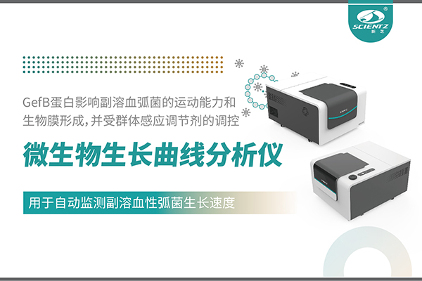 論文分享｜基于MGC系列揭示環境鎂離子對副溶血性弧菌毒力與生物膜形成的全局調控