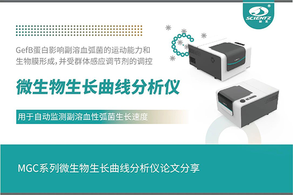 論文分享｜群體感應(yīng)調(diào)控GefB蛋白抑制副溶血性弧菌運(yùn)動(dòng)及生物膜形成機(jī)制解析