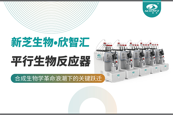 培養菌株和評估工藝參數影響太難太慢？平行生物反應器提供關鍵解決方案！